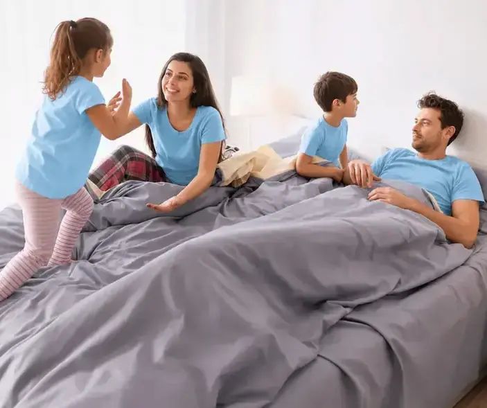 Bed Bug Control in a Cedar City, UT home